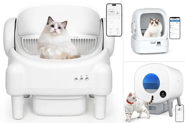 Detailed view of Best App Controlled Litter Boxes: Fresh & Simple Cat Care