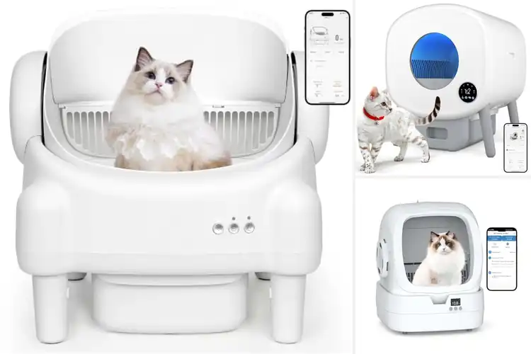 Detailed view of Best Automatic Cat Litter Boxes