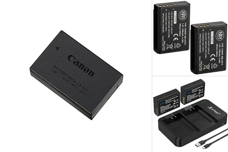 Detailed view of Best Batteries for Canon EOS Cameras