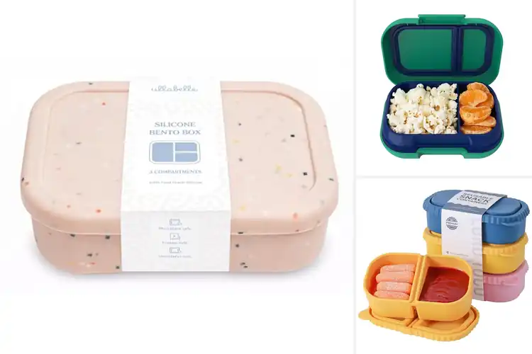 Detailed view of Best BPA Free Snack Boxes For Toddlers