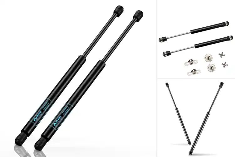 Detailed view of Best Gas Springs