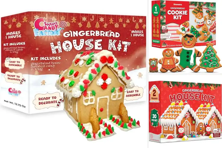 Detailed view of Best Holiday Gingerbread Kits