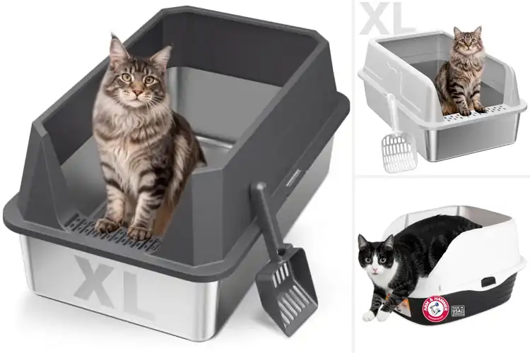 Detailed view of Best Large Capacity Litter Boxes