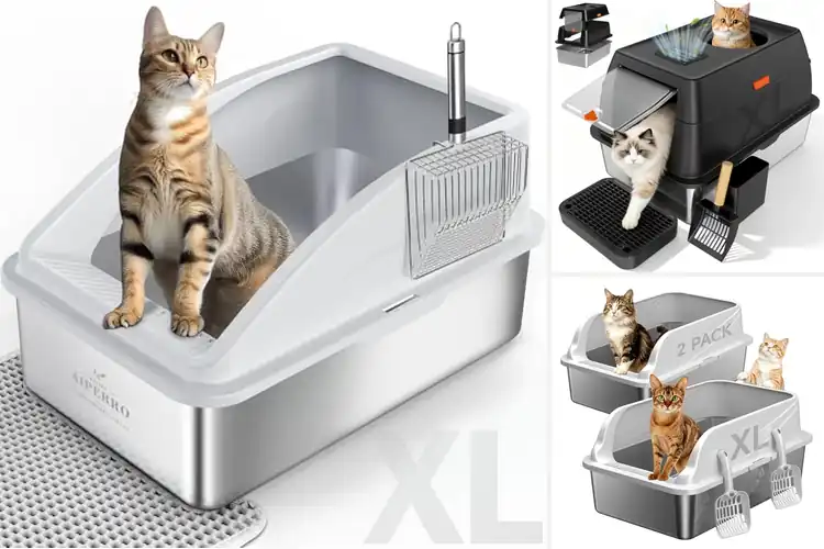 Detailed view of Best Litter Boxes For Multiple Cats