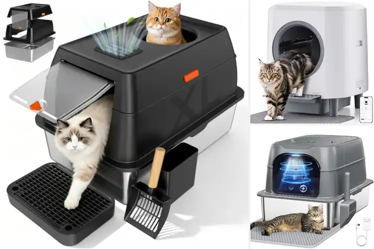Detailed view of Best Odor Control Litter Boxes