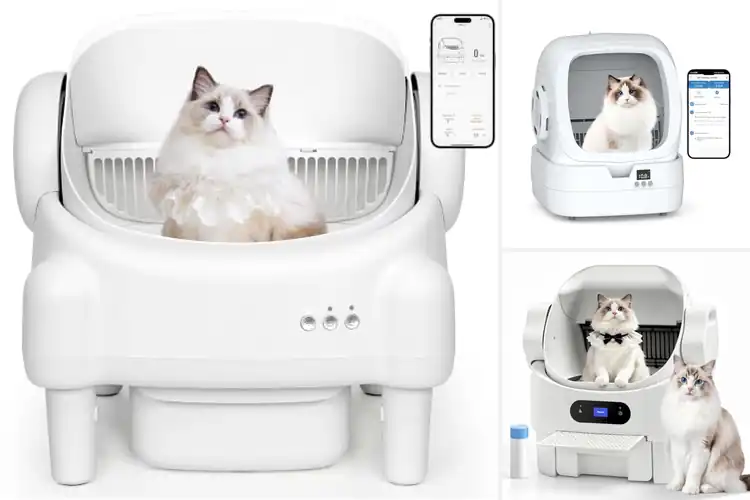 Detailed view of Best Quiet Self Cleaning Litter Boxes