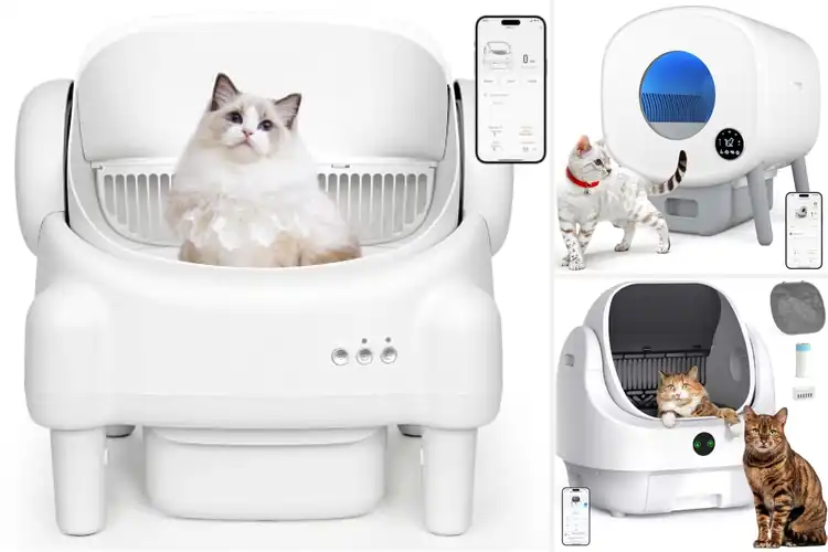Detailed view of Best Smart Litter Boxes